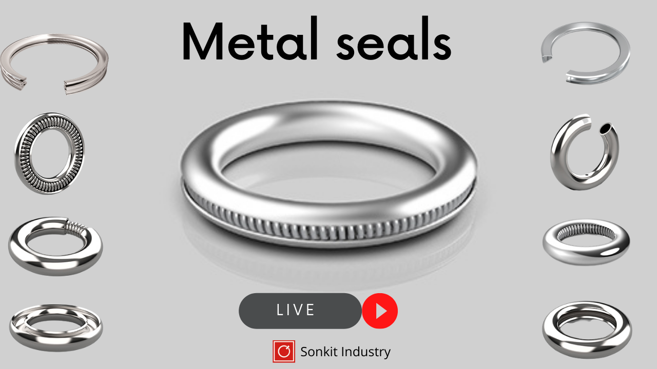 Metal Ring Seals